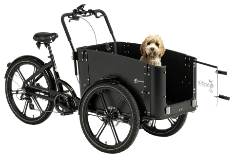 Delight Dog